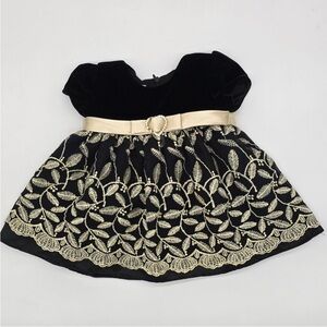 Cinderella Black and Gold Velvet-like Dress